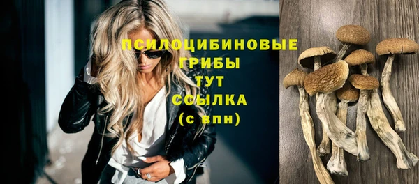 MDMA Premium VHQ Михайловка