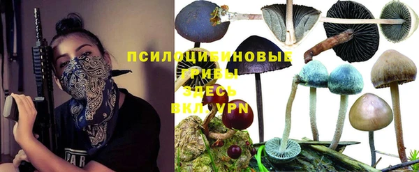 кокаин перу Михайлов
